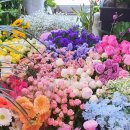 소망꽃화원 이미지