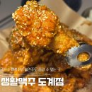 생활맥주삼척도계점 | [창원]도계동 술집 추천 시원하게 치맥하기 딱 좋은 여름 맥주맛집 시원한 과일향 수제맥주 후기