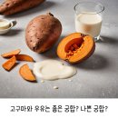 고구마와 우유는 좋은궁합? 나쁜궁합? 이미지