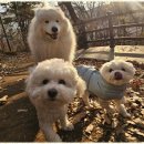 굿데이호텔 이미지