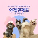 위드펫직업전문학원