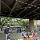 이니록스 | 시드니 힉슨로드보호지역, 오페라바, 힉슨로드보호지역, 시드니 피쉬마켓, 싱글오, 록스마켓, 왓슨스베이)