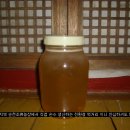 마륜농장 Daum카페