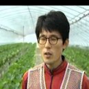 일산 최고의 딸기체험, 한아름딸기농원