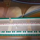 광덕동로1 이미지