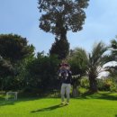 스테이비갠오후 이미지