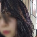 더이레헤어
