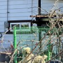 세븐일레븐포천아트밸리점 이미지