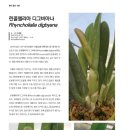 (주)비아나 이미지