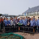 한국동서발전(주)당진화력본부 이미지