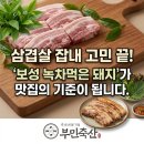 보성육가공