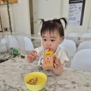 건이네 파충류 | 아이랑 가볼만한 이색 카페 건이네 파충류 &amp; 카페