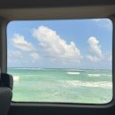 가자고을농장1 | [하와이] 가자하와이 오아후섬 1일 투어 후기(내돈내산)