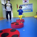 용인대 NO1 태권도장 이미지