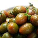 토마토2 이미지