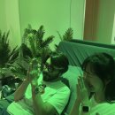너 커서 뭐 될래 했는데, 뭐가 된 노홍철 이미지