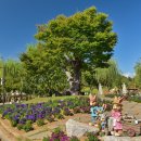 대가야생활촌 먹거리마을 이미지