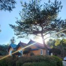 339빌리지태안안면도독채펜션 이미지