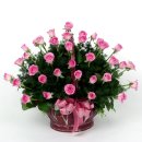 신사1-011 이미지