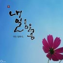 골방에서 Daum카페