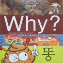 와이1