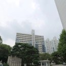 성남 무지개마을 아파트 베란다 탄성코트 시공후기