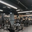 운동습관 - 안산시 단원구 초지동로 33 | 야탑헬스장 와이피트니스 다니며 운동 습관 만든 후기