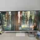 삼성 뷰피니티S7 화이트 모니터(S32D701) 애플 맥미니 M4와 찰떡인 모니터로 추천