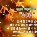 햇살아래