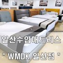 일산수입매트리스 - 씰리매트리스 일산 &#39;WMDK 일산점&#39;