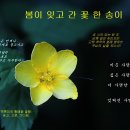 황매화 이미지