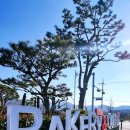 곡성-260 이미지