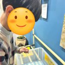 창녕생태곤충원 | 창녕 아이랑 갈만한 곳, 생태곤충원 체험 후기