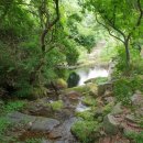 도깨비 계곡산장 이미지