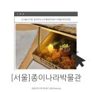 종이나라박물관 | [서울]겨울방학 한지체험 종이나라 박물관 예약 방문 후기
