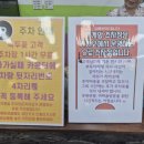 녹두꽃 | 전주 정갈한 한정식 맛집 녹두꽃 후기 (녹두꽃정식 &amp; 주차)