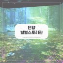 별별 아트 1 | 단양 일주일 살기, 별별스토리관 아이와 체험형 전시