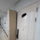 캣라운지 | 집사의 반격 - 캣포스트 (캣폴) 내돈내산 후기