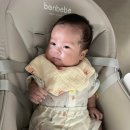 뉴본하이체어 추천｜신생아부터 쓴 본베베 멀티레벨 하이체어 후기
