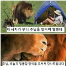 후픽 이미지