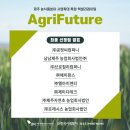 팀아이엔티