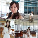 강아지 별장 이미지