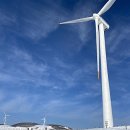 현구목장 | [22년 후 내일] 혼여(혼자여행/강원도 대관령]-혼자 정동진 동해바다&amp;대관령 하늘목장 후기