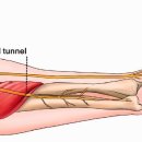 봄꽃한의원 이미지
