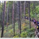 대기초등학교 이미지