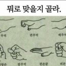 DOPE 이미지