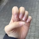 르미네일 이미지
