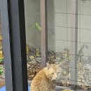 계어그릴스 이미지