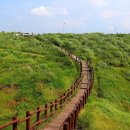 제주도 여름 가볼 만한 곳들 - 제주동문재래시장, 관덕정, 산지천분수교, 가성비 숙소 조천 스위스마을...