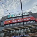 드라큘라치과의원 이미지